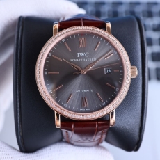 IWC Watches