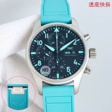 IWC Watches